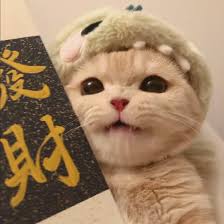 Ảnh đại diện images (3)